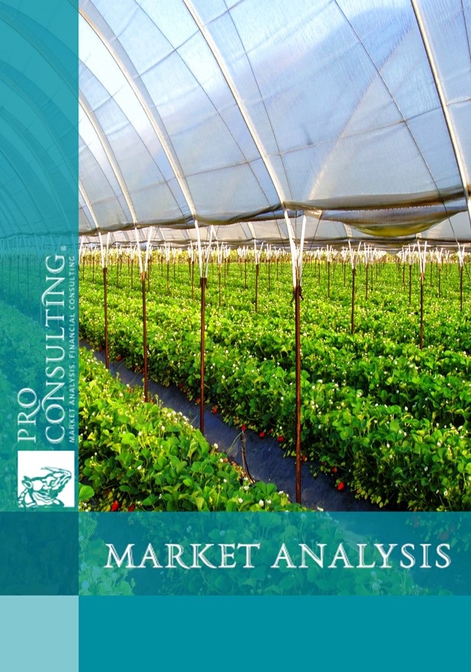 Market research report on greenhouses of Ukraine.  2014